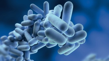 Ivóvízhigiénia, legionella